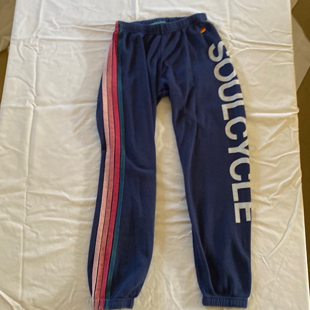 Aviator Nation Blue Joggers with Pink and Red Stripes